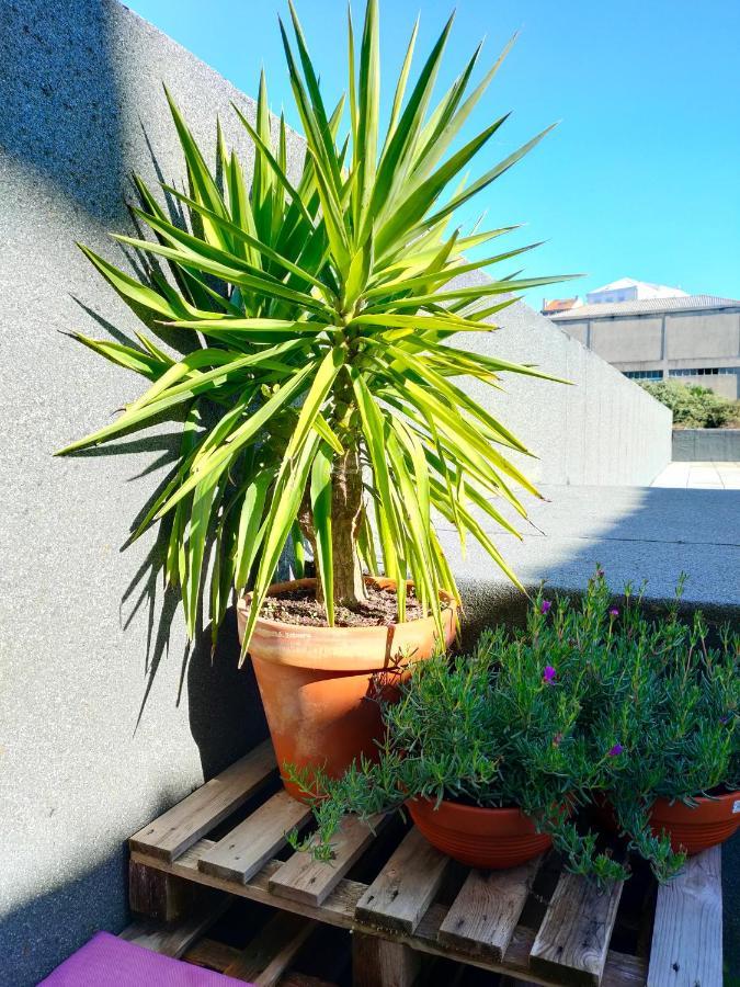 Santa Catarina - With Terrace Apartament